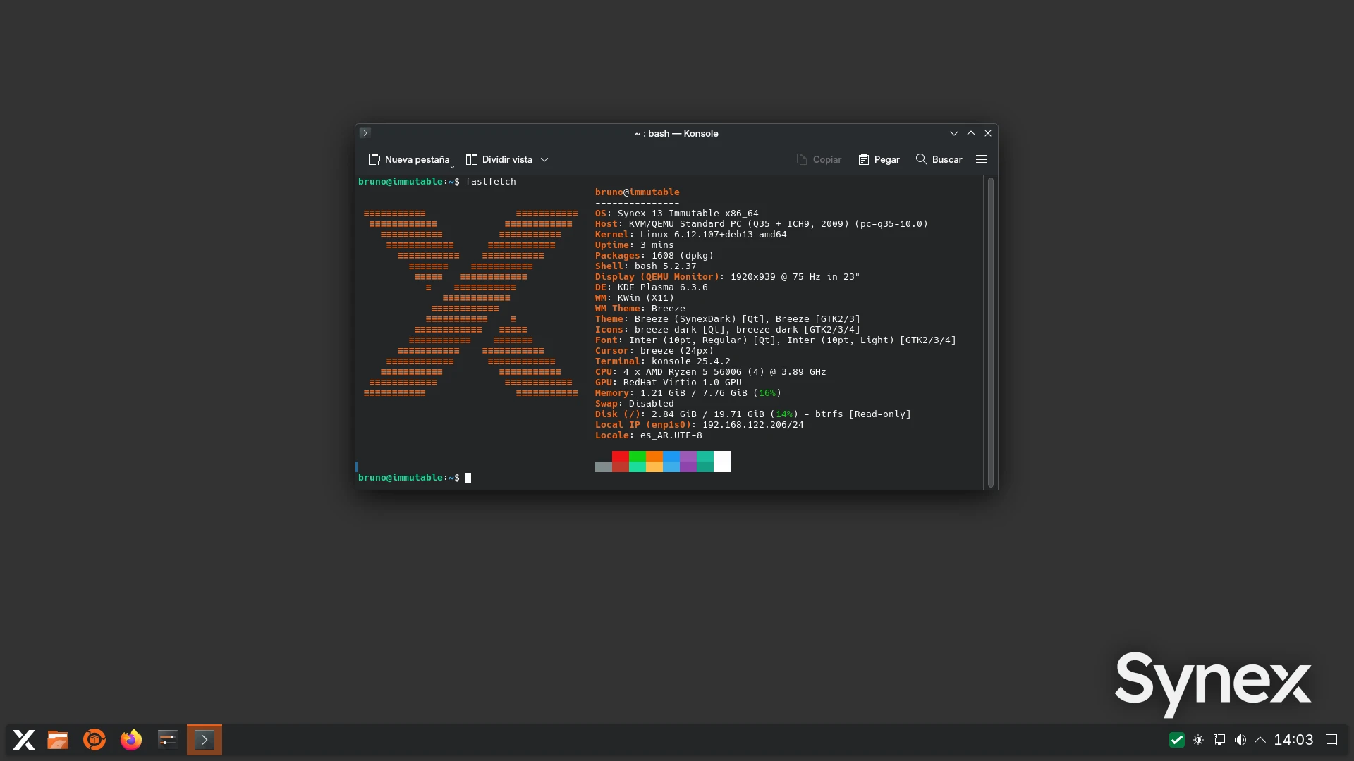 synex-13-immutable